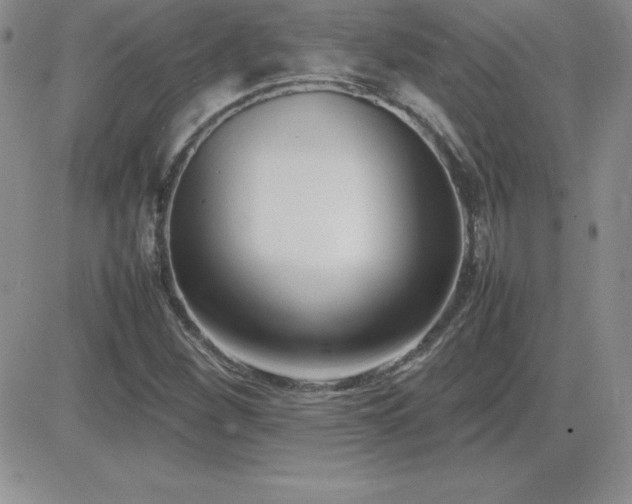 X0000082701260200701261237