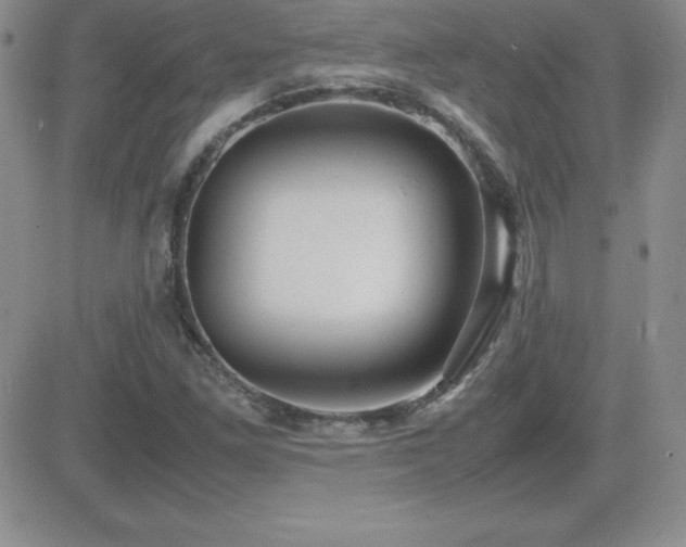 X0000082701261200701261237