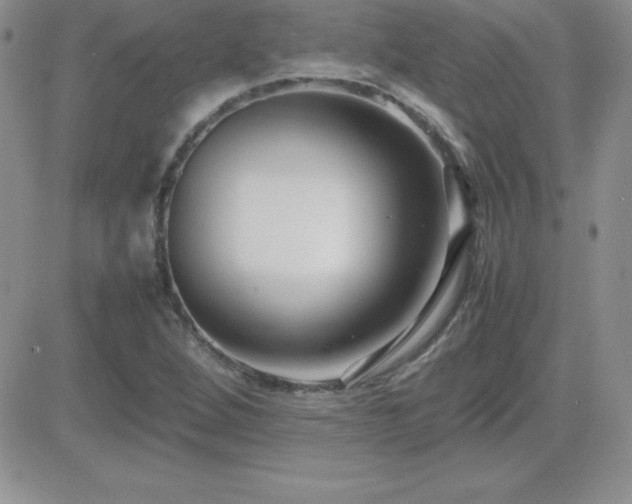 X0000082701264200701261237