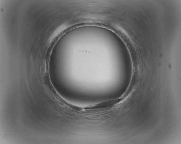 X0000082701267200701261237