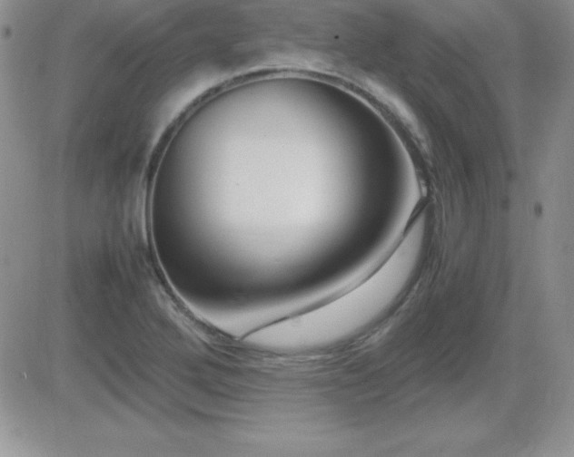 X0000082701272200701261236