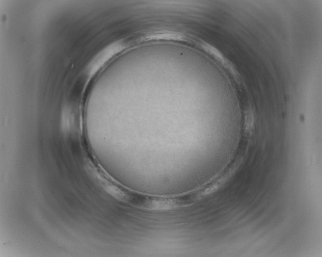 X0000082701274200701261236
