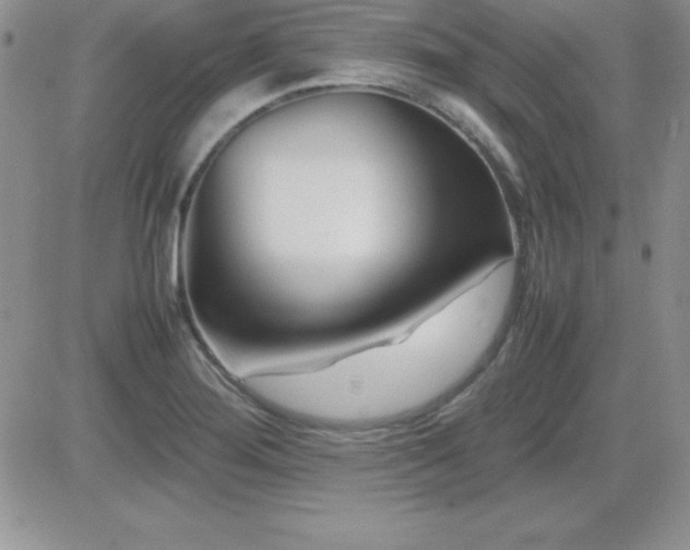 X0000082701276200701261236