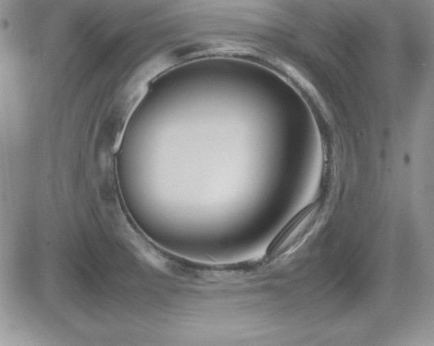 X0000082701281200701261236