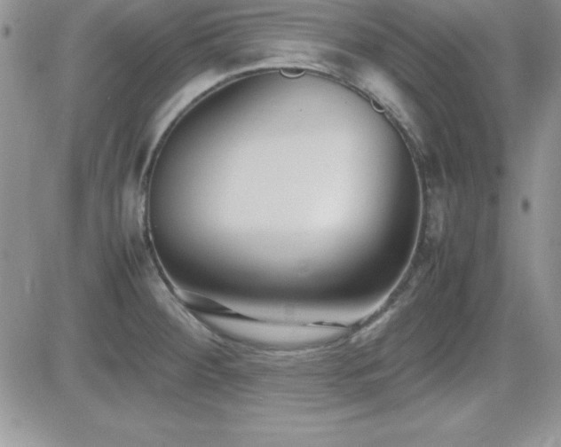 X0000082701284200701261236