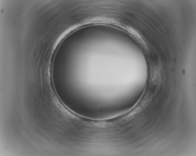 X0000082701288200701261236