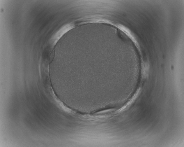 X0000082701289200701261236