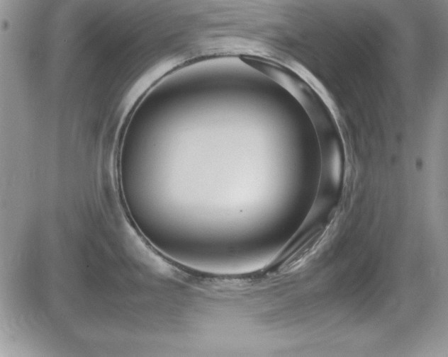 X0000082701293200701261236
