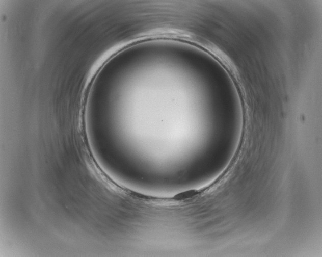 X0000082701296200701261236