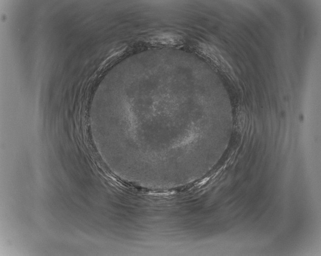 X0000082701297200701261235