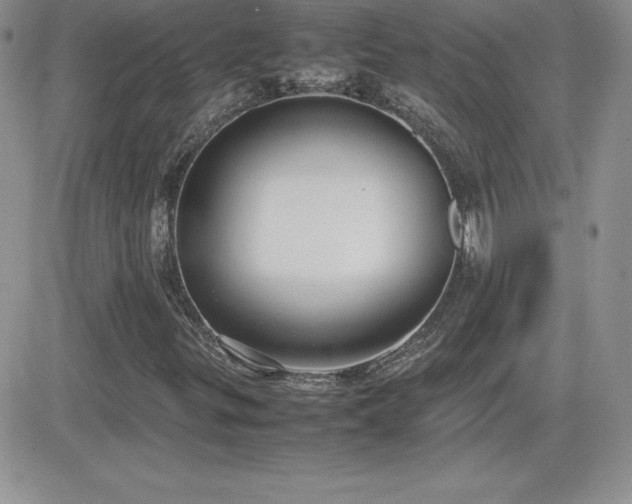 X0000082701299200701261235