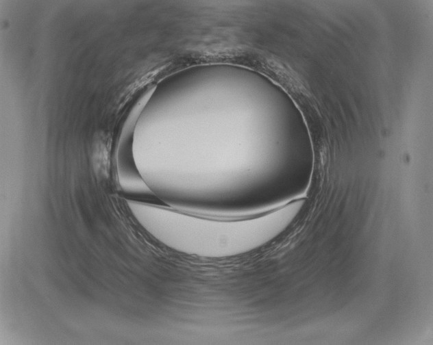 X0000082701300200701261235