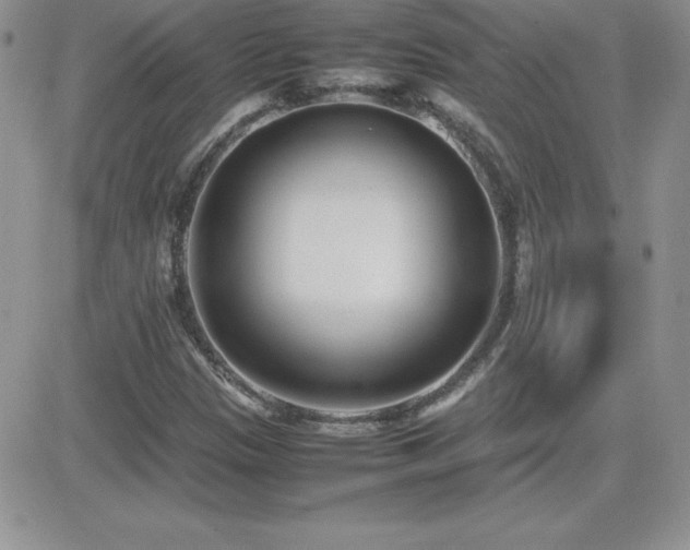X0000082701305200701261235