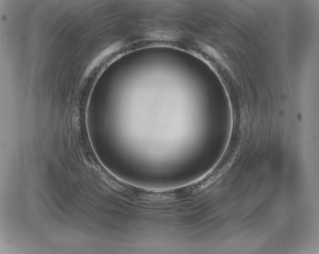 X0000082701307200701261235