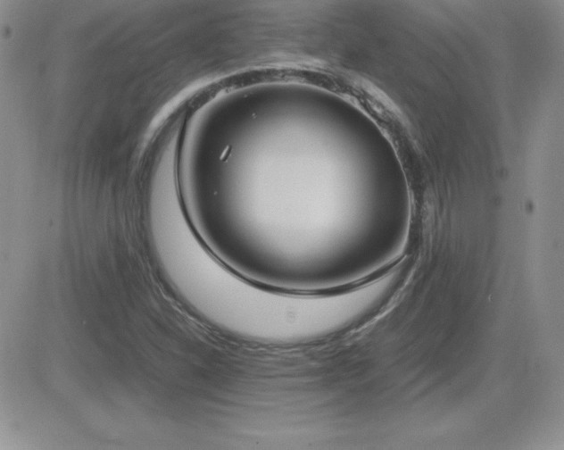 X0000082701310200701261235