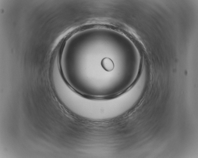 X0000082701312200701261235
