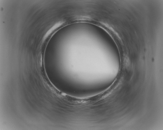 X0000082701317200701261236