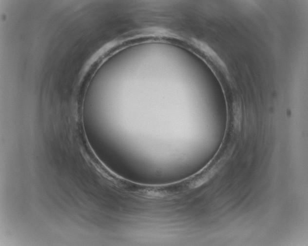 X0000082701318200701261236