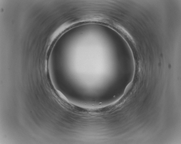 X0000082701324200701261236