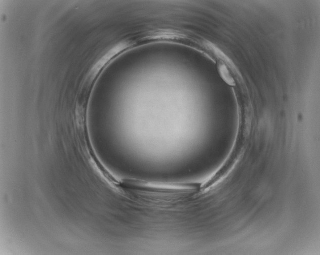X0000082701329200701261236