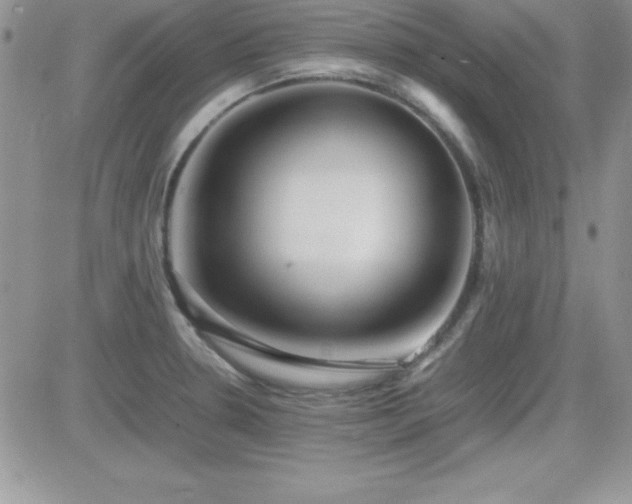 X0000082701330200701261236