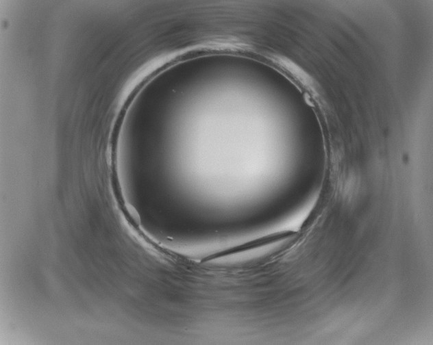 X0000082701335200701261236