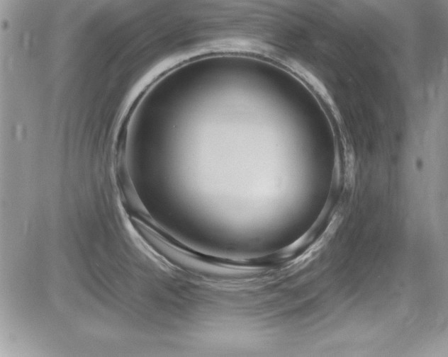 X0000082701342200701261236