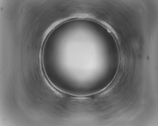 X0000082701343200701261236
