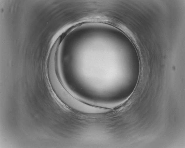 X0000082701344200701261236