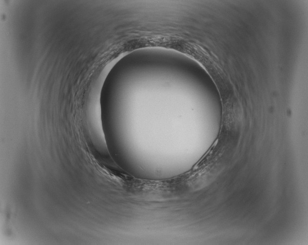 X0000082701345200701261235