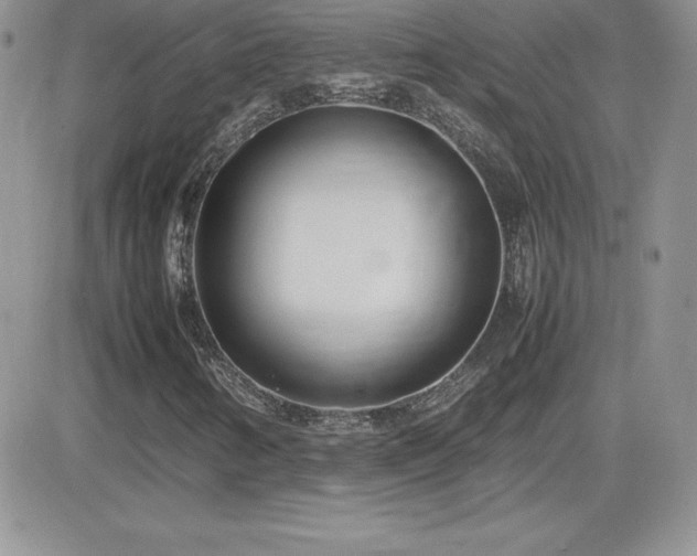 X0000082701346200701261235