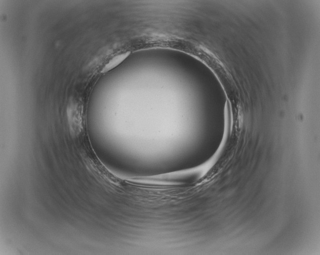 X0000082701348200701261235