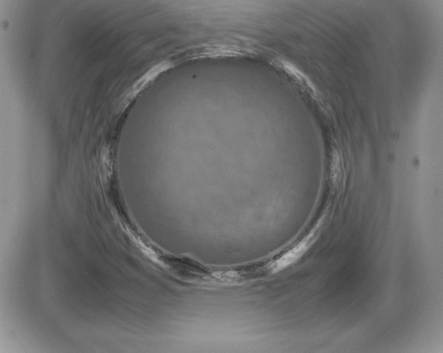 X0000082701353200701261235