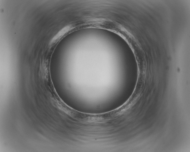 X0000082701354200701261235