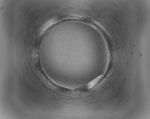 X0000082701355200701261235