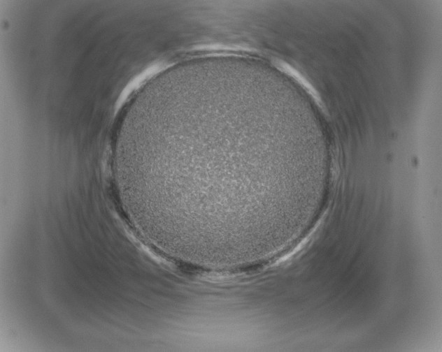 X0000082701357200701261235