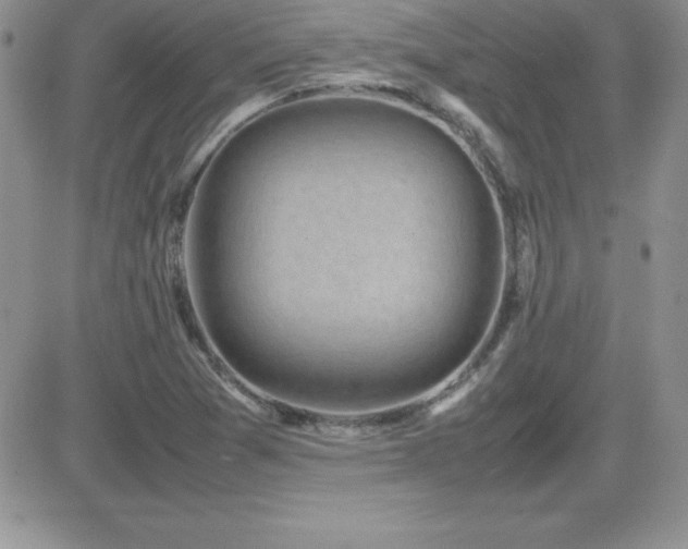 X0000082701361200701261235
