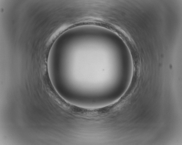 X0000082701363200701261235