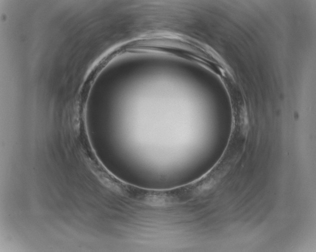 X0000082701364200701261235