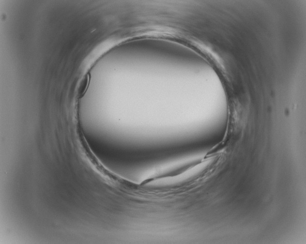 X0000082701375200701261235