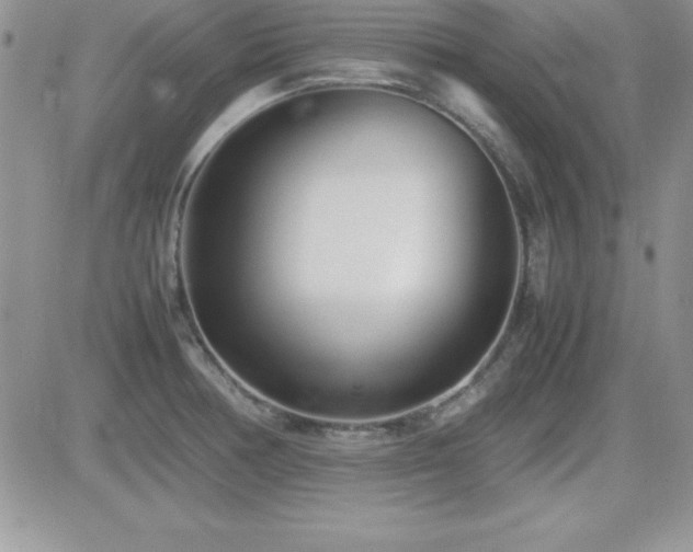 X0000082701378200701261235