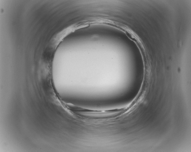 X0000082701385200701261235
