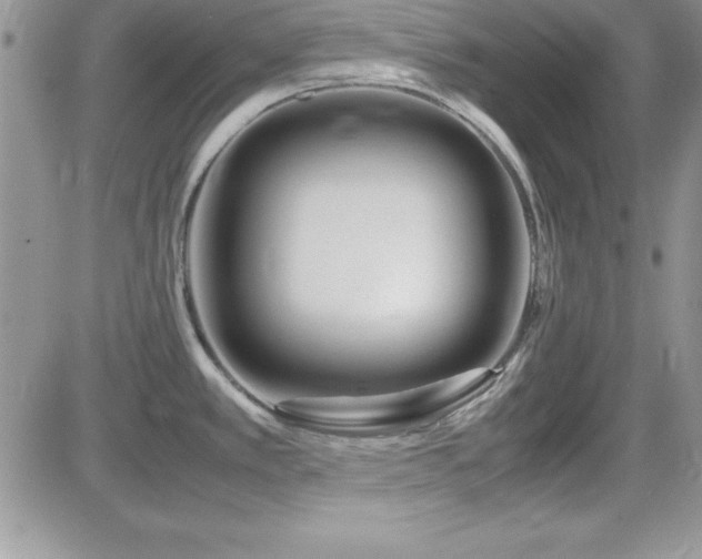 X0000082701389200701261235