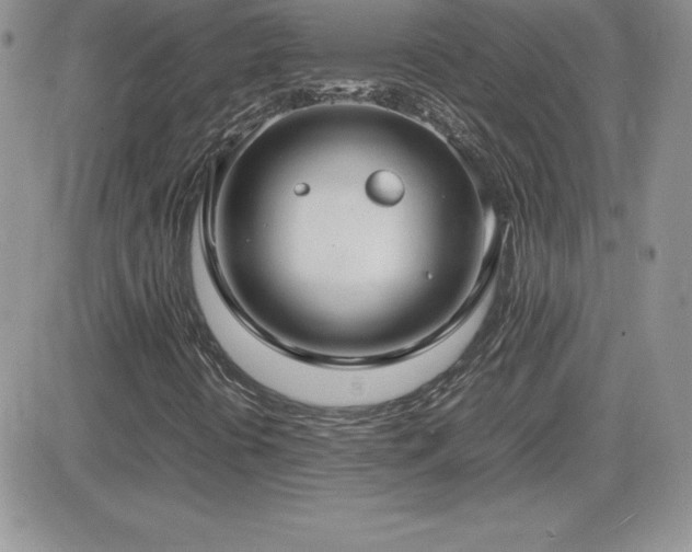 X0000082701394200701261234