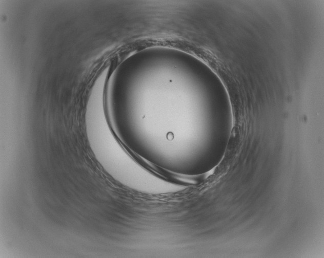 X0000082701398200701261234