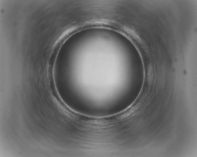 X0000082701404200701261234