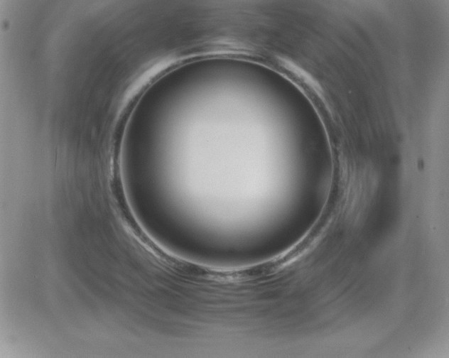X0000082701415200701261234