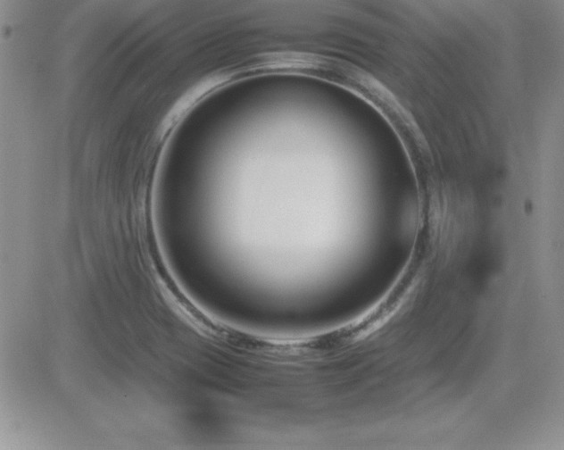 X0000082701417200701261234