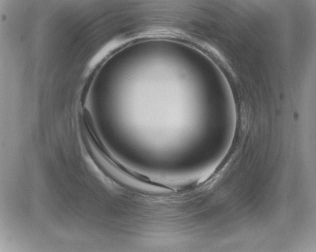 X0000082701422200701261234