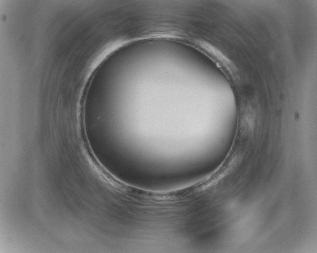 X0000082701423200701261234